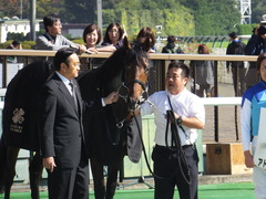 20161105 東京4R 2歳未勝利 アドマイヤシナイ 23