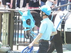 20150517 東京3R 3歳未勝利 サウンドアラムシャ 08