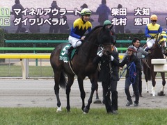 20170205 東京11R 東京新聞杯(G3) プロディガルサン 16