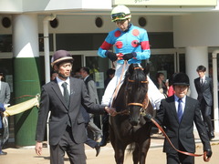 20190302 中山6R 3歳未勝利 マルニ 09