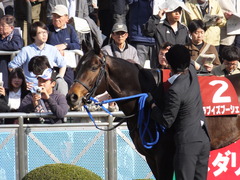 20150328 中山11R 日経賞(G2) ラブイズブーシェ 07