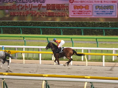 20140525 東京12R 丹沢S ユーロビート 13
