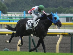 20151017 東京4R 2歳メイクデビュー モーゼス 16