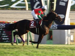 20171105 東京11R AR共和国杯(G2) マイネルサージュ 19