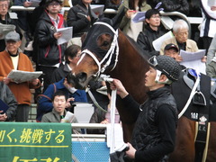 20150321 中山10R 韓国馬事会杯 ショウナンアポロン 10