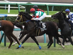 20170930 中山10R 習志野特別(1000) ラッシュアタック 14