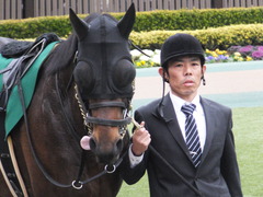 20170205 東京11R 東京新聞杯(G3) プロディガルサン 04