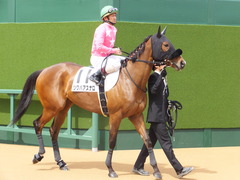 20150412 中山7R 4歳上500万下 ツクバアスナロ 12