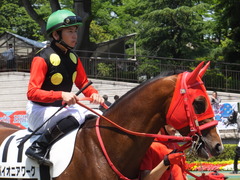 20170520 東京2R 3歳未勝利 パイオニアワーク 16