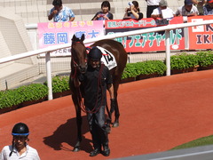 20170910 阪神3R 3歳未勝利 フェアチャイルド 20