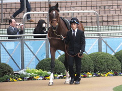 20150307 中山10R スピカS 4歳上1600万下 モーリス 03