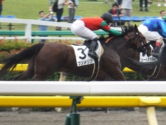 20170625 東京1R 3歳牝馬未勝利 プンメリン 28