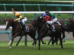 20161001 中山10R 習志野特別 オウケンブラック 14