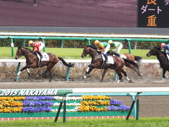 20150412 中山8R 4歳上500万下 キングラナキラ 09