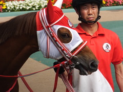 20170527 東京10R 葉山特別(1000) レーヌドブリエ 14