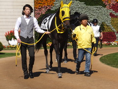 20151025 京都4R 2歳メイクデビュー ブリリョドソル 04