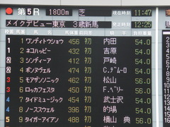 20150222 東京5R 3歳メイクデビュー シンディーア 14