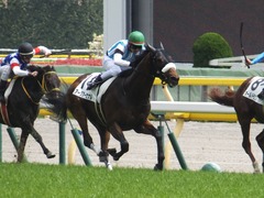 20160423 東京5R 3歳未勝利 アークアーセナル 19