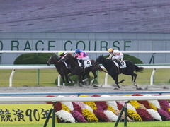 20151121京都2R 2歳未勝利 メイショウノボサン 11