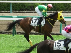 20180415 中山4R 3歳未勝利 マイティテソーロ 14