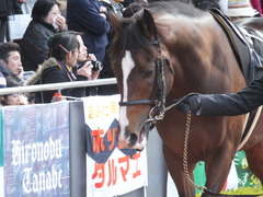 20141207 中京9R 栄特別 ビップレボルシオン 06