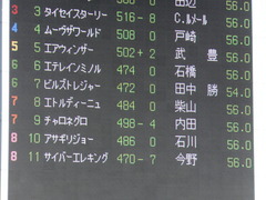 20170212 東京11R 共同通信杯(G3) ビルズトレジャー 02