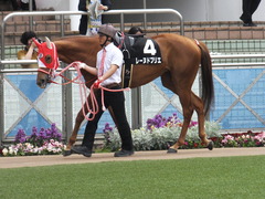 20160409 中山9R 野島崎特別 (1000牝) レーヌドブリエ 04
