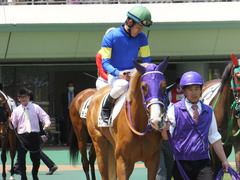 20140426 東京4R スクノード 11