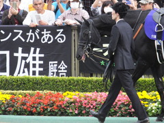20141102 東京11R 天皇賞(秋) サトノノブレス 02