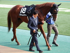 20171112 東京10R 奥多摩S(1600) クライムメジャー 11