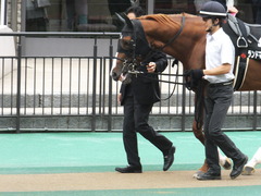 20150627 東京11R 夏至S ランドマーキュリー 02