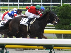 20170618 東京7R 33歳上500万下 ホウオウマリリン 13