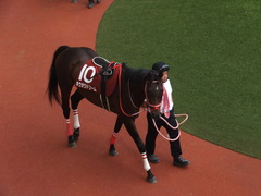 20170924 阪神11R 神戸新聞杯(G2) 3歳OP ホウオウドリーム 11