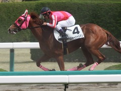 20180401 阪神2R 3歳未勝利 メジャーシャルマン 14