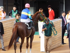 20150927 中山9R 芙蓉ステークス プランスシャルマン 22