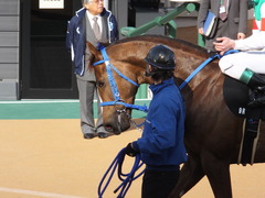 20150228 中山9R 水仙賞 3歳500万下 マッサビエル 18