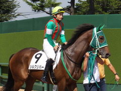 20151003 中山2R 2歳未勝利 シルクリバー 08