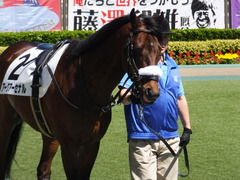 20170423 東京8R 4歳上500万下 アークアーセナル 05