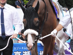20140915 大井11R 東京記念 ユーロビート 11