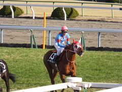 20170114 京都10R 北大路特別 4歳上牝馬1000万下 レーヌドブリエ 22