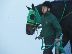 20180114 中山2R 3歳未勝利 アイコンタクト 05