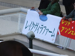 20170225 阪神4R 3歳未勝利 サテンドール 01