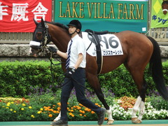 20180616 東京6R 3歳未勝利 ロジスカーレット 07