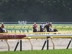 20150530 東京7R 4歳上500万下 ツクバアスナロ 16