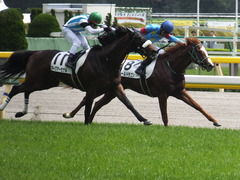 20160423 東京5R 3歳未勝利 アークアーセナル 20