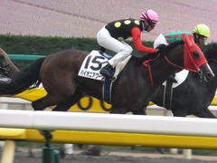 20161119 東京1R 2歳未勝利 パイオニアワーク 18
