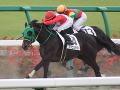20180414 中山2R 3歳未勝利 アイコンタクト 17