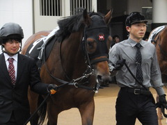 20160417 中山9R 鹿野山特別 1000万下 オウケンブラック 07