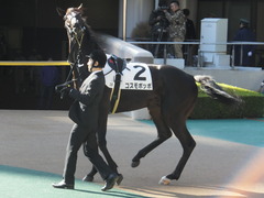 20141122 東京3R コスモポッポ 05