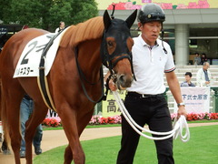 20171014 京都3R 2歳未勝利 ハルキスター 04